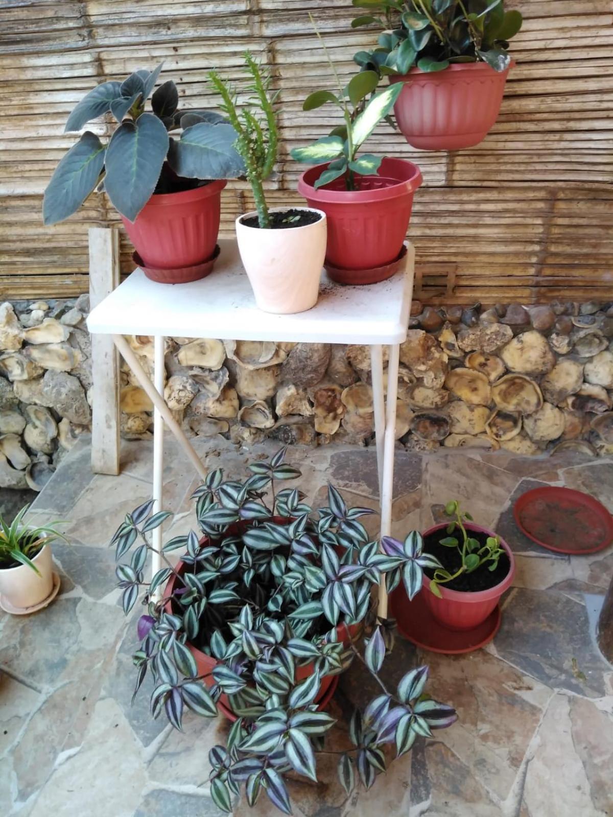 Hospedajesperu Zorritos Esterno foto